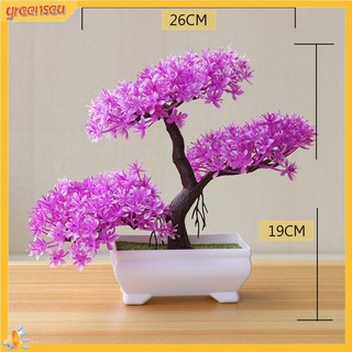 (greensea) Cây Bonsai Giả Trang Trí
