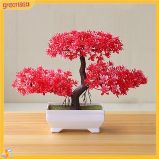 (greensea) Cây Bonsai Giả Trang Trí