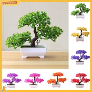 (greensea) Cây Bonsai Giả Trang Trí