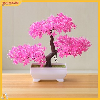 (greensea) Cây Bonsai Giả Trang Trí