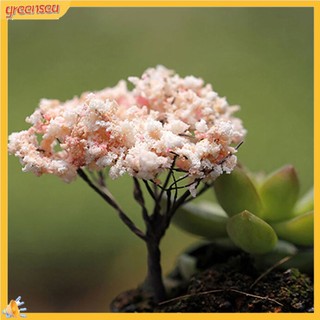 (greensea) Phụ kiện trang trí vườn cây cảnh