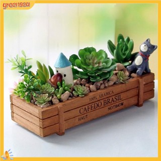 (greensea) Chậu gỗ trồng cây cảnh