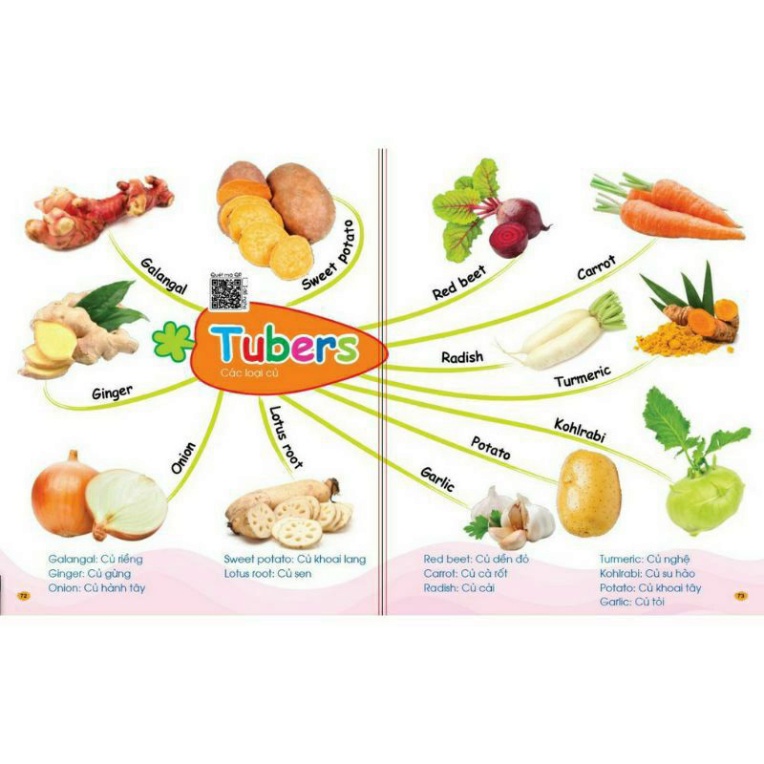 Sách - Chinh Phục Từ Vựng Tiếng Anh - Theo Sơ Đồ Tư Duy Mind Map  HM BOOK