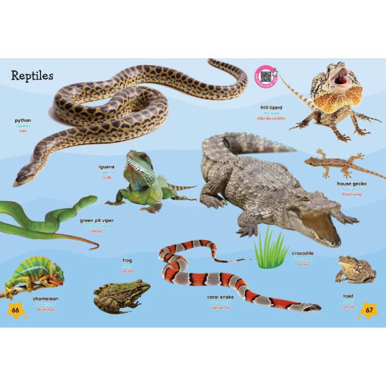 Sách - Tư Duy Ngôn Ngữ - Bé Chinh Phục Tiếng Anh Theo Chủ Đề - Phiên Bản Có Âm Thanh HM BOOK