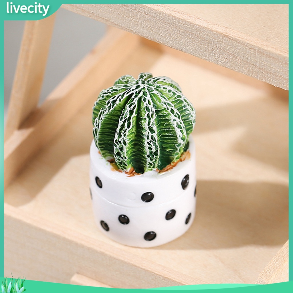 Chậu Cây Bonsai Giả Trang Trí