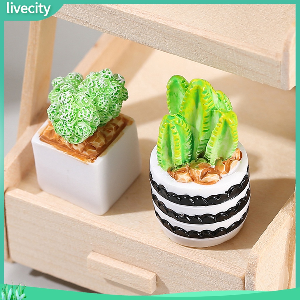 Chậu Cây Bonsai Giả Trang Trí