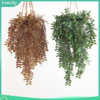 {livecity} Dây Leo Giả Bằng Nhựa Treo Tường Trang Trí Phòng Khách