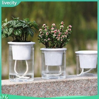 {livecity} Chậu Hoa Tự Tưới Nước Tiện Lợi Trang Trí Nội Thất