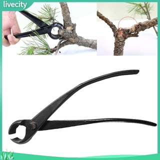 {livecity} Kìm cắt tỉa cây cảnh chuyên dụng