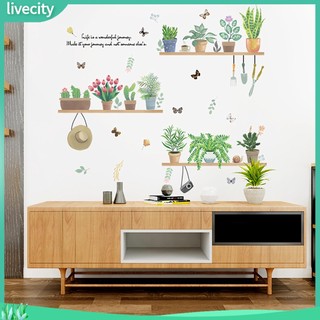 {livecity} Decal Dán Tường Hình Cây Xương Rồng