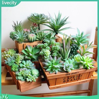{livecity} Cây hoa sen đá mini nhân tạo trang trí bàn nhà ở/tiệc tùng/đám cưới