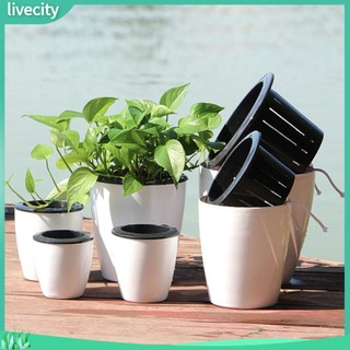 {livecity} Chậu hoa treo tường tự tưới nước trang trí nhà cửa tùy chọn kích thước