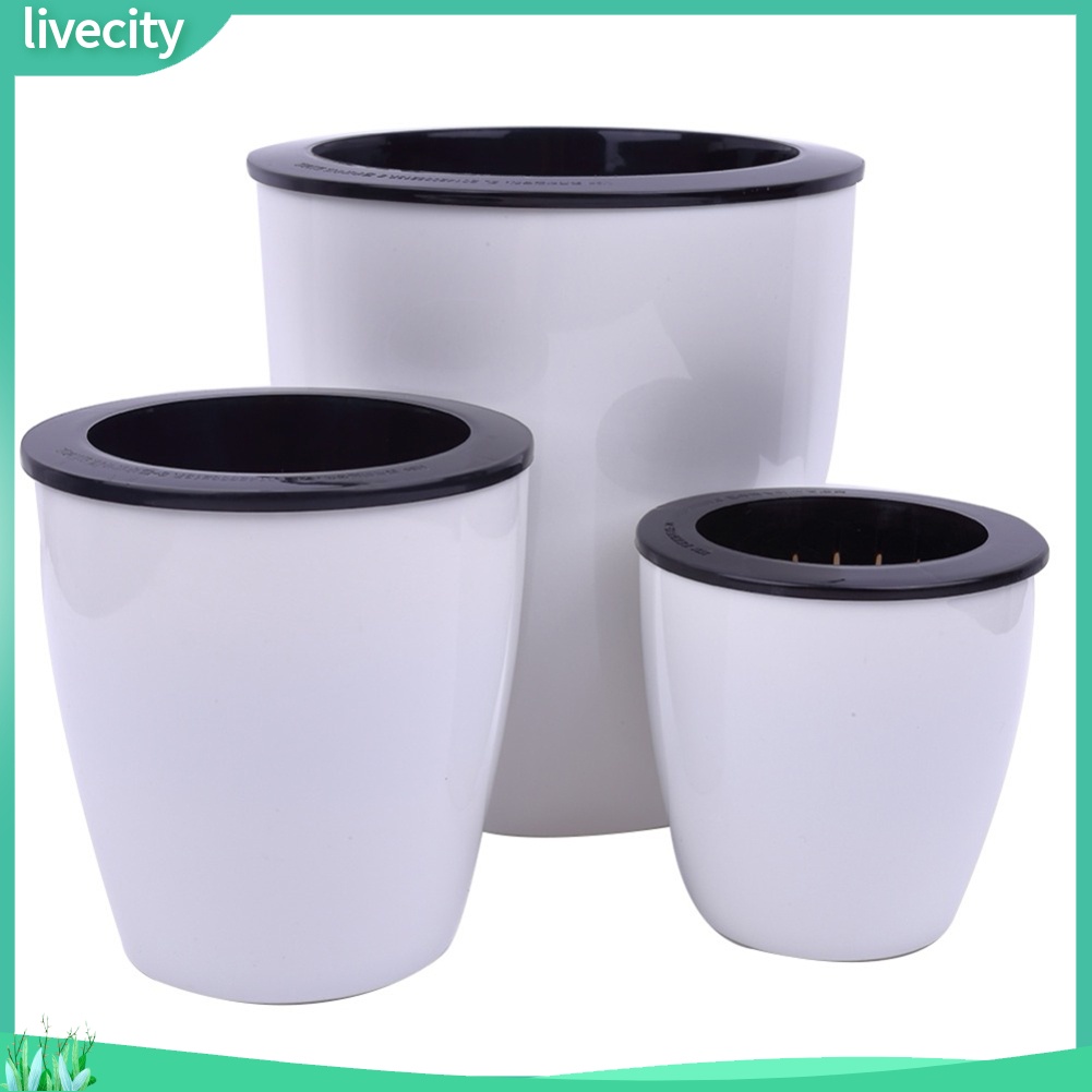 Chậu hoa treo tường tự tưới nước trang trí nhà cửa tùy chọn kích thước