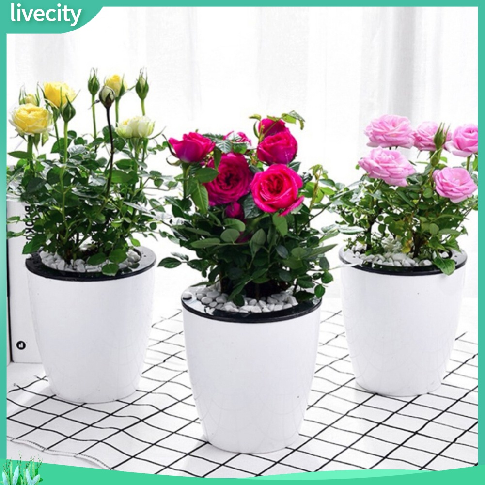 Chậu hoa treo tường tự tưới nước trang trí nhà cửa tùy chọn kích thước