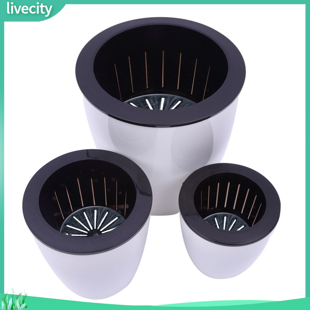 Chậu hoa treo tường tự tưới nước trang trí nhà cửa tùy chọn kích thước