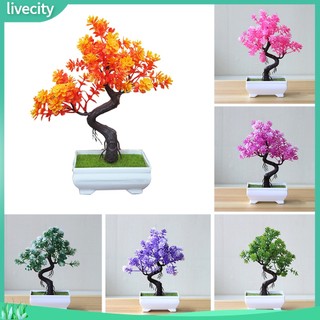 {livecity} Mô hình cây bonsai giả dùng trang trí