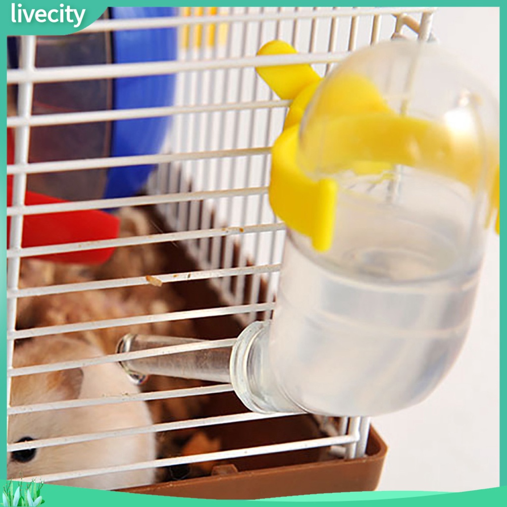 Bình Đựng Nước Uống Chuyên Dụng Cho Chuột Hamster 50ml