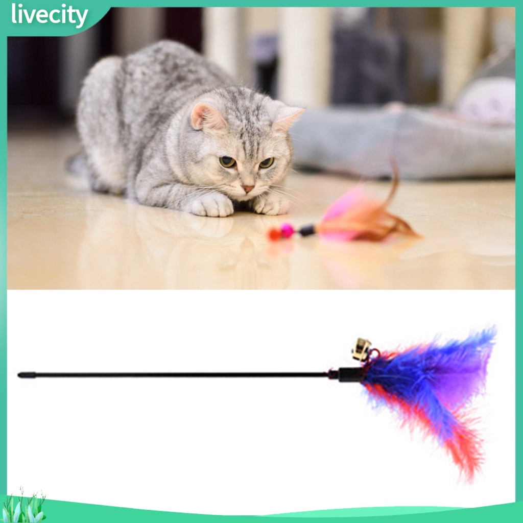 Thanh chọc ghẹo mèo đính lông vũ vui nhộn độc đáo