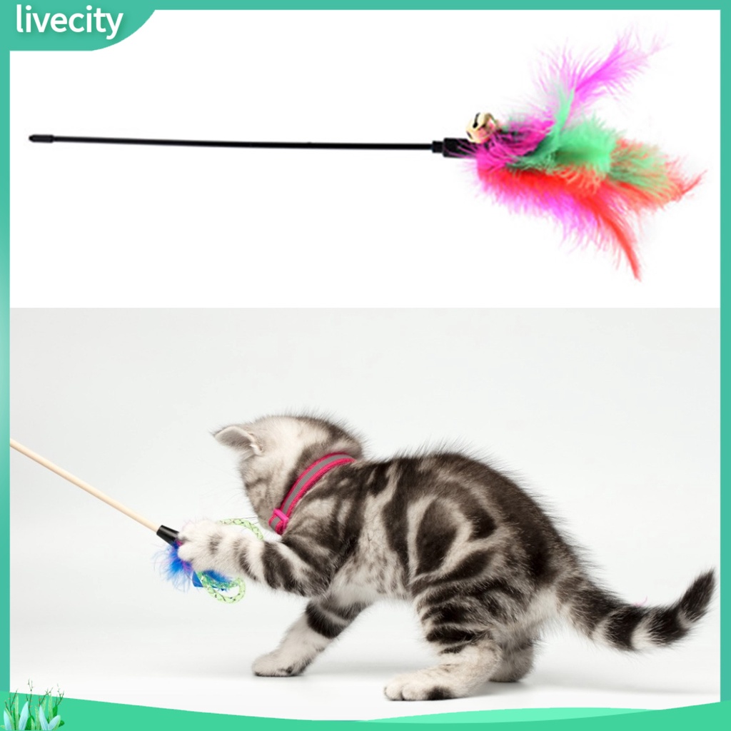 Thanh chọc ghẹo mèo đính lông vũ vui nhộn độc đáo