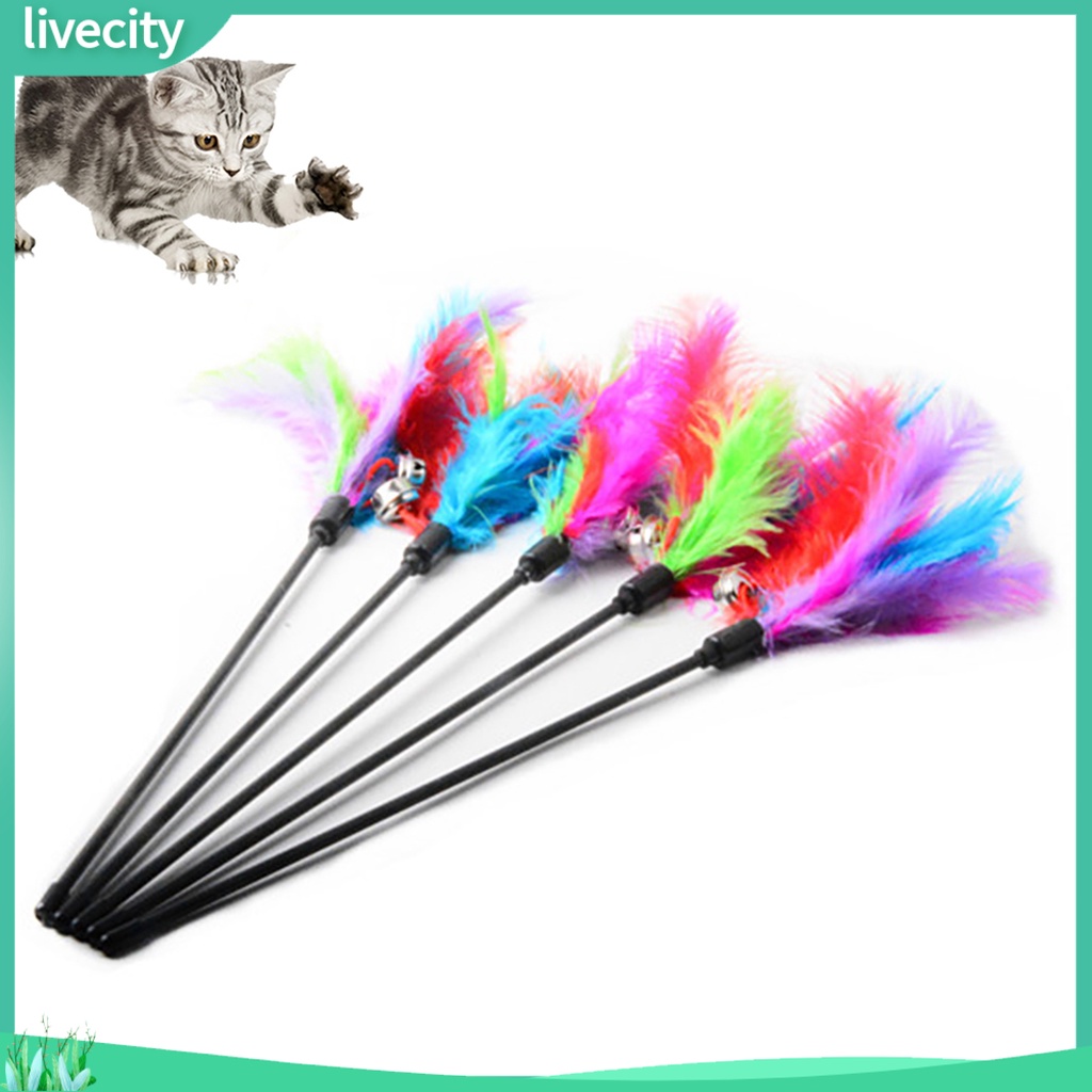 Thanh chọc ghẹo mèo đính lông vũ vui nhộn độc đáo