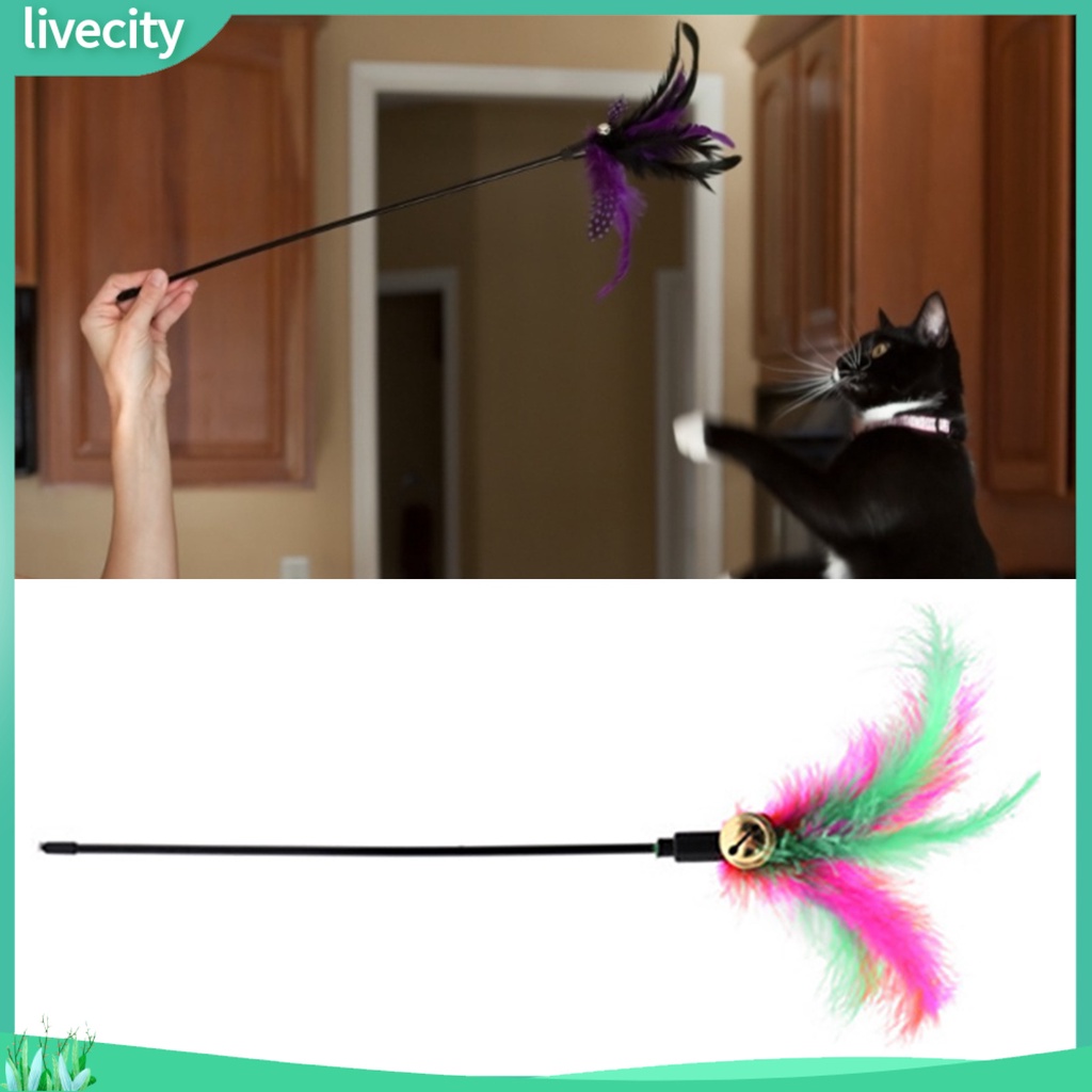 Thanh chọc ghẹo mèo đính lông vũ vui nhộn độc đáo