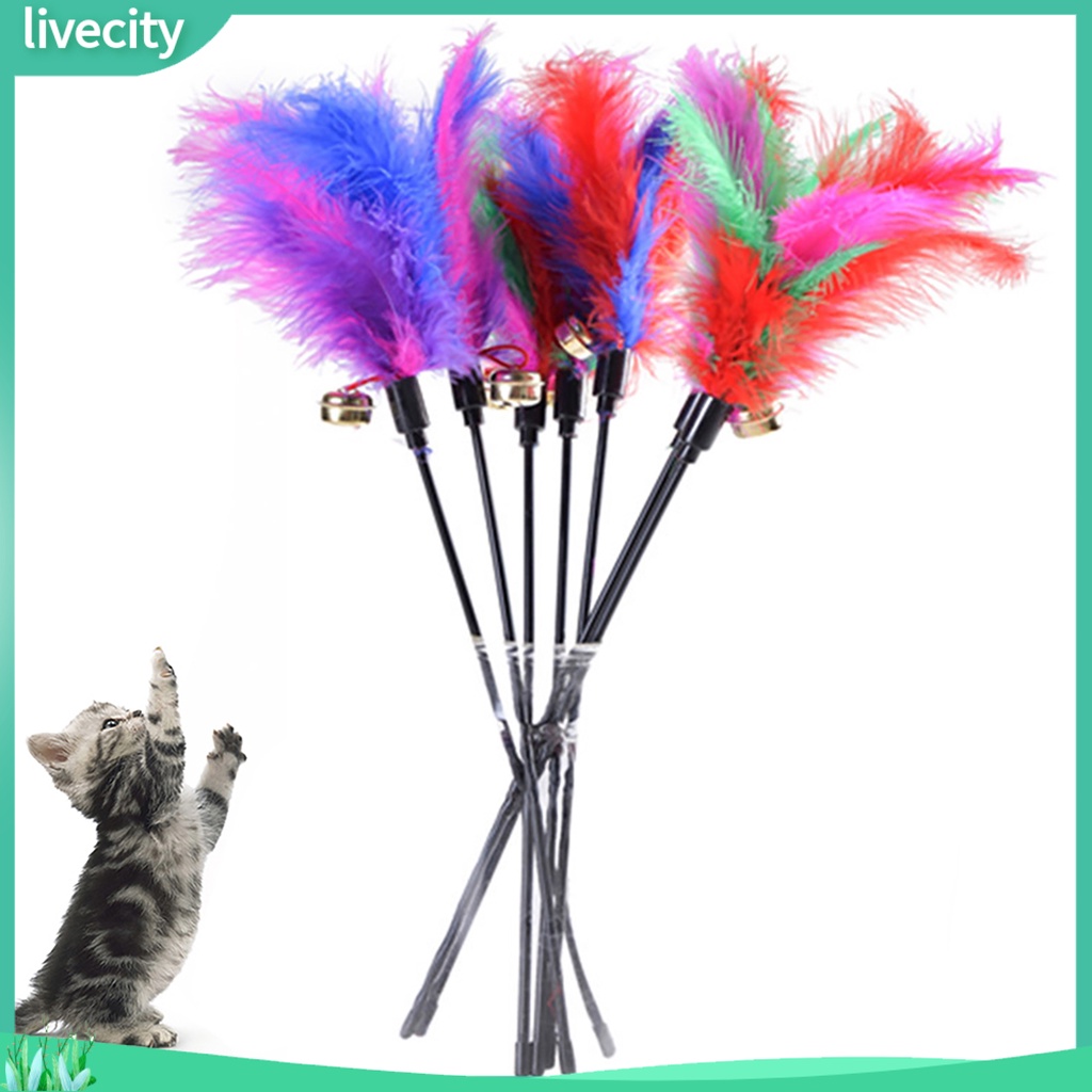 Thanh chọc ghẹo mèo đính lông vũ vui nhộn độc đáo