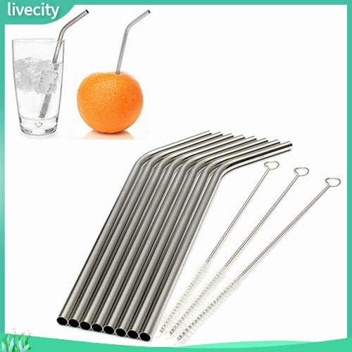 Ống hút thép không gỉ + bàn chải vệ sinh