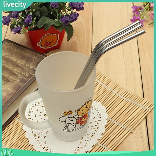 Ống hút thép không gỉ + bàn chải vệ sinh