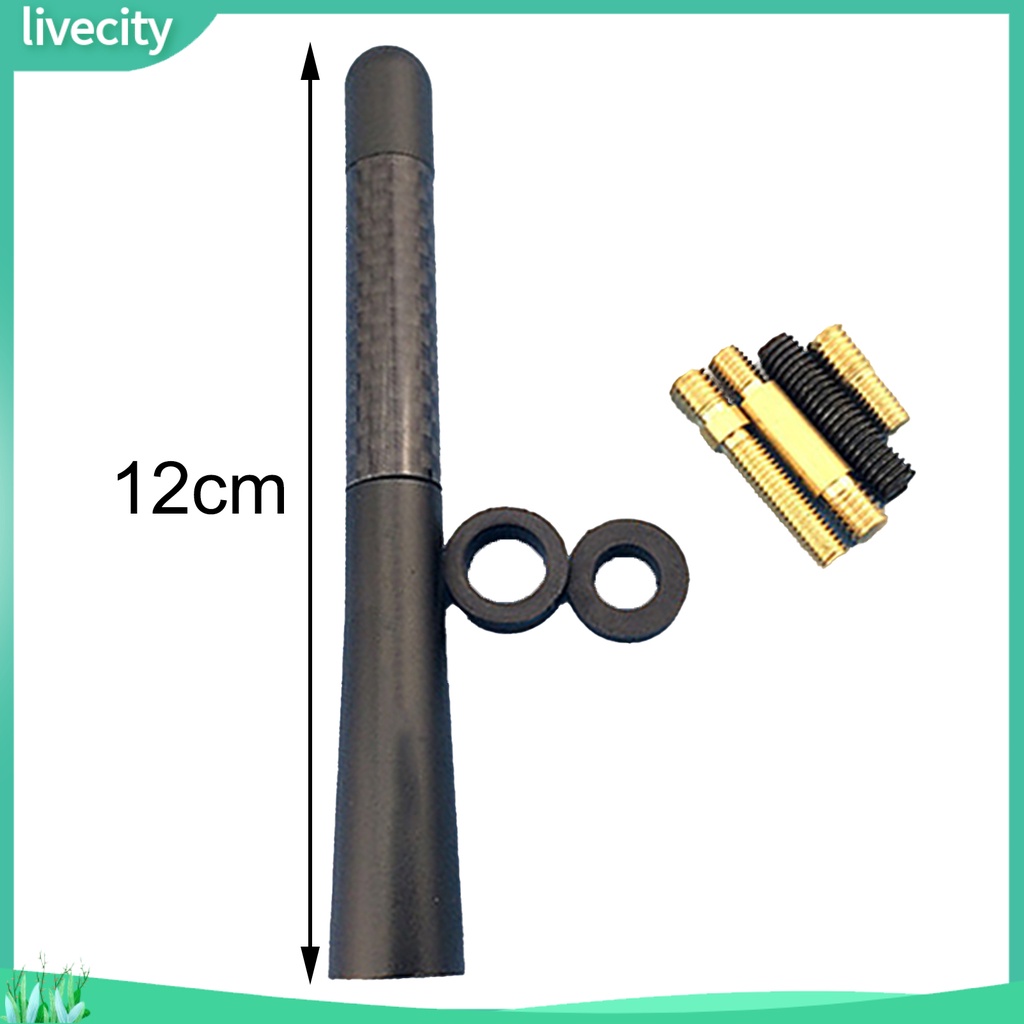 Bộ Anten Sợi Carbon Và Kim Loại Cao Cấp Dành Cho Xe Hơi