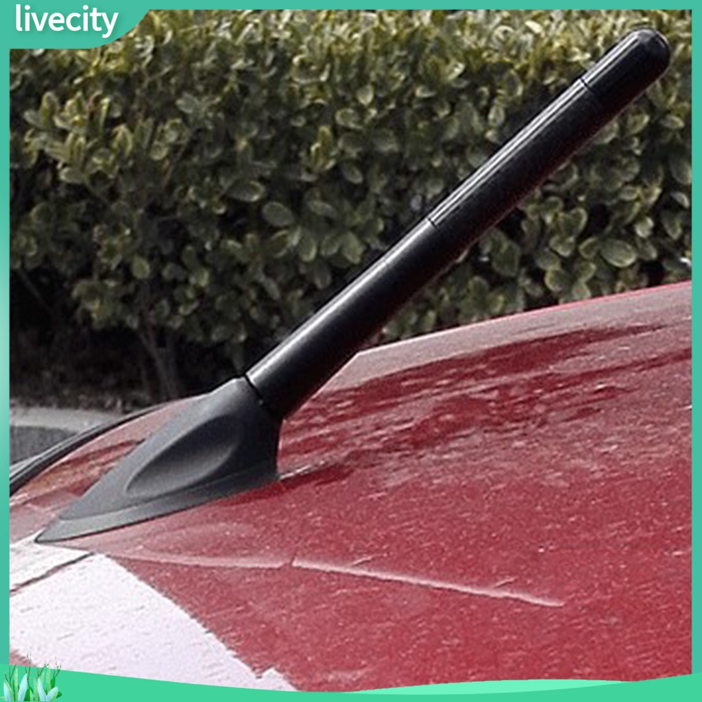 Bộ Anten Sợi Carbon Và Kim Loại Cao Cấp Dành Cho Xe Hơi