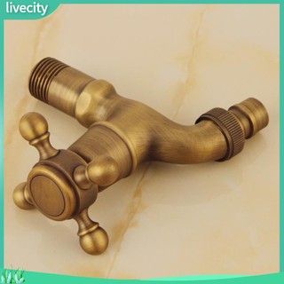 {livecity} Vòi nước kiểu cổ