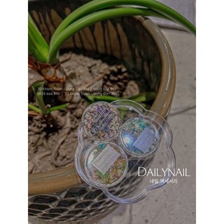 Hoa khô Design móng Hàn Cao cấp