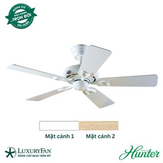 Quạt Trần Mỹ Hunter Seville 5 Cánh Gỗ PlyWood Chính Hãng Quạt Trần Đẹp