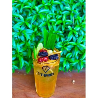 Set 10 gói trà lipton thảo mộc