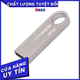 Usb 64Gb Kington Data Se9