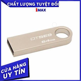 Usb 64Gb Kington Data Se9