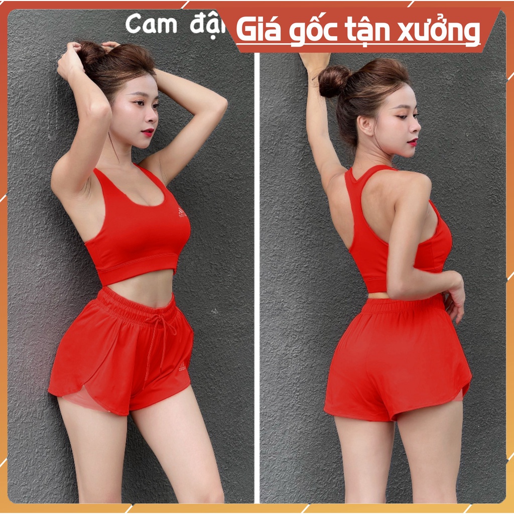 Bộ tập gym yoga erobic đi bơi nữ, áo bra & quần đùi 2 lớp kèm mút ngực thể thao phong cách hàn quốc