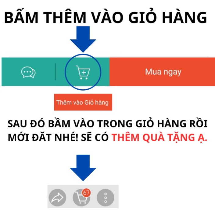 Set 10 Lược Răng Thưa Lược Răng Nhỏ Mẫu Mới 2023 - Lược chải tóc cắt tóc tiện lợi