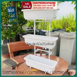 COMBO 5 chậu trồng cây, chậu trồng rau các loại, chậu dài chữ nhật 48cm, hình lục giác, trồng rau hoa ban công chung cư