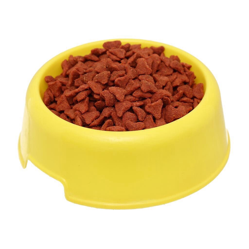 Hàng mới nhất Thức ăn hạt dành cho mèo Kitekat 1kg4 nhập Thái Lan