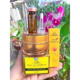 Kem dưỡng trắng sáng da Face Collagen X3 và Serum Collagen X3 chất làm đẹp Đông Anh