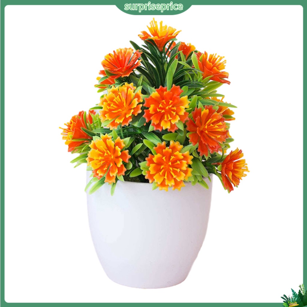 Chậu Cây Bonsai Giả Thân Thiện Với Môi Trường Trang Trí Nhà Cửa / Văn Phòng