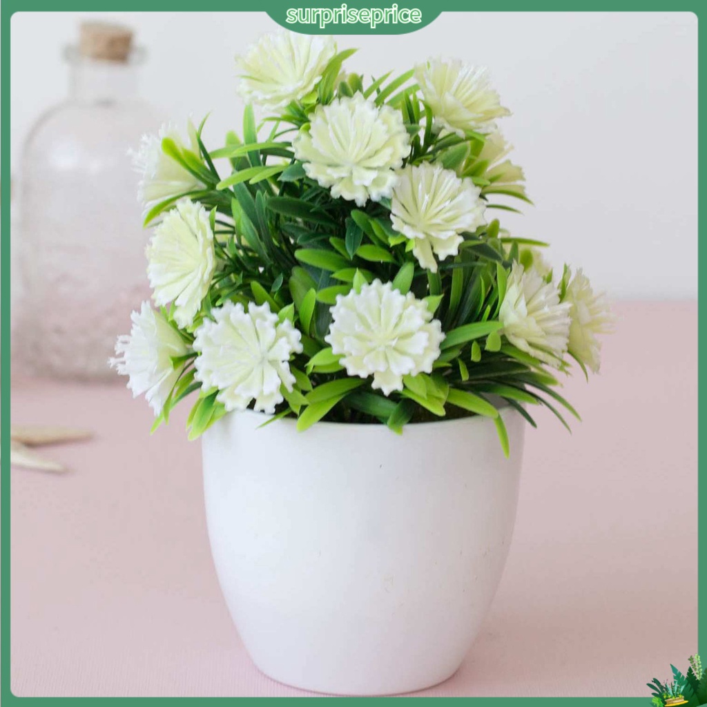 Chậu Cây Bonsai Giả Thân Thiện Với Môi Trường Trang Trí Nhà Cửa / Văn Phòng