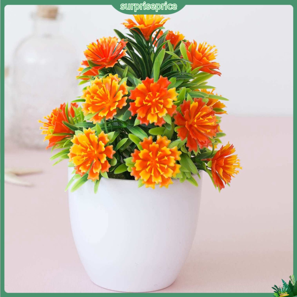 Chậu Cây Bonsai Giả Thân Thiện Với Môi Trường Trang Trí Nhà Cửa / Văn Phòng