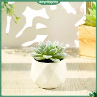 <surprise> Chậu cây sen đá giả mini nhiều màu sắc trang trí nhà cửa
