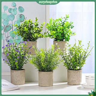 <surprise> Bộ Chậu Cây Giả Bằng Pvc Thân Thiện Với Môi Trường Để Bàn/ Trang Trí Ban Công