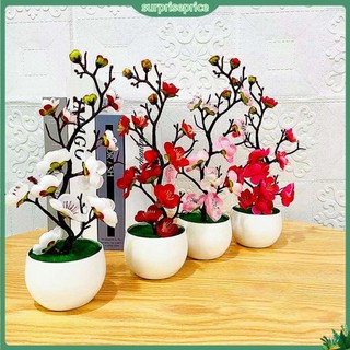 <surprise> Cây Cảnh Nhân Tạo Làm Từ Lụa Không Phai Màu Trang Trí Nhà Cửa