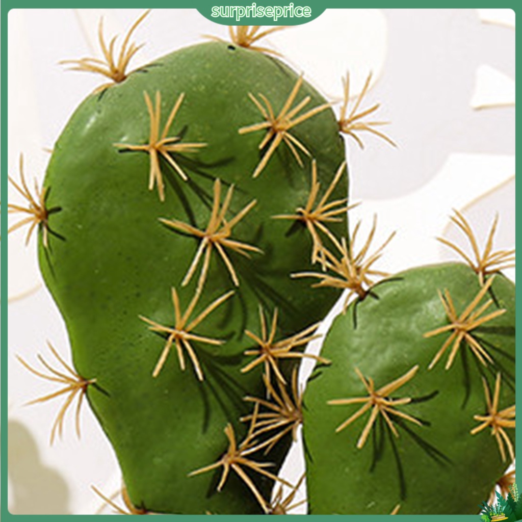 Chậu Cây Xương Rồng Giả Dùng Trang Trí Nhà Cửa / SPA