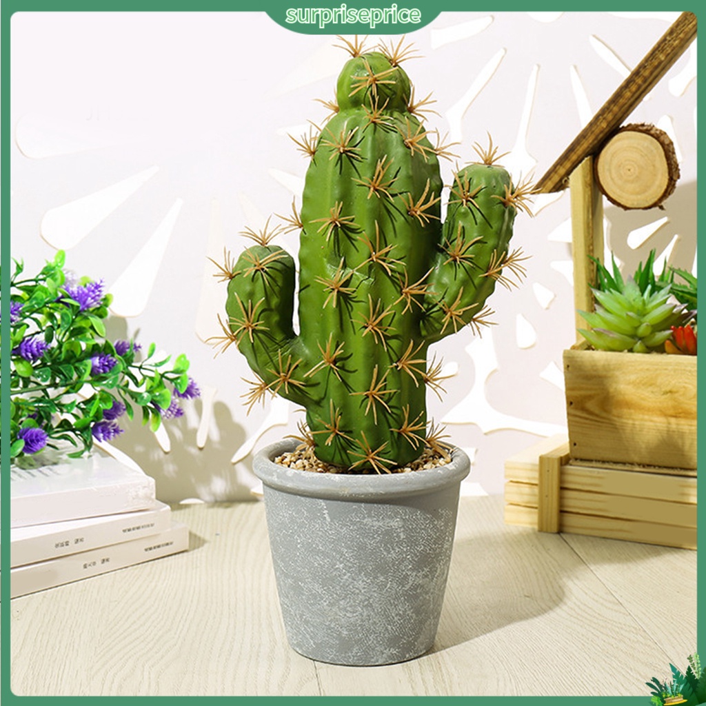 Chậu Cây Xương Rồng Giả Dùng Trang Trí Nhà Cửa / SPA