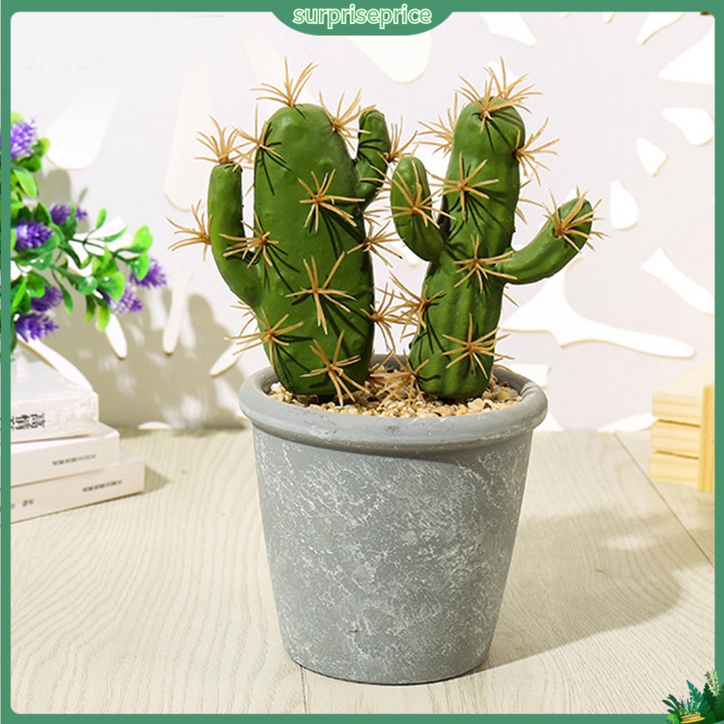 Chậu Cây Xương Rồng Giả Dùng Trang Trí Nhà Cửa / SPA